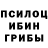 Галлюциногенные грибы прущие грибы Di Animeshnik