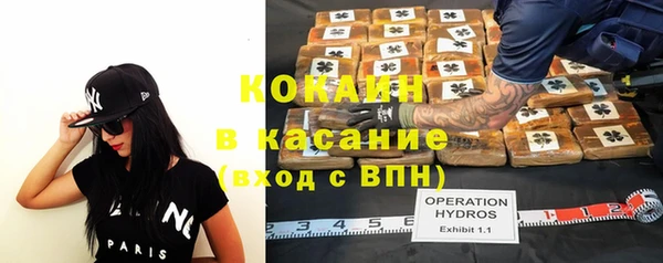 apvp Алексин