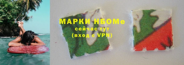 индика Алзамай