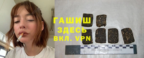 индика Алзамай