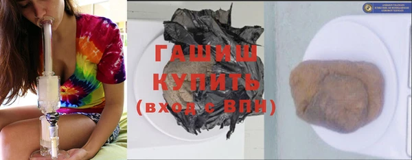 индика Алзамай