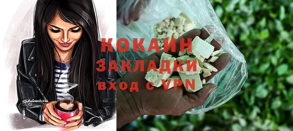 индика Алзамай