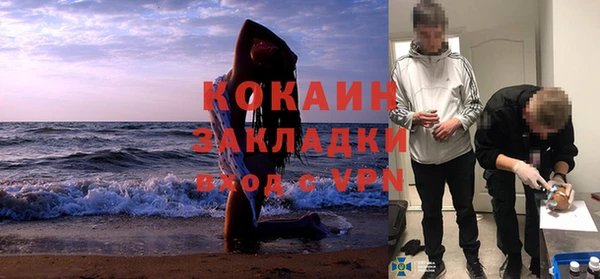 индика Алзамай