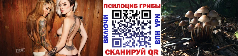 shop официальный сайт  наркота  Медынь  Псилоцибиновые грибы MAGIC MUSHROOMS 